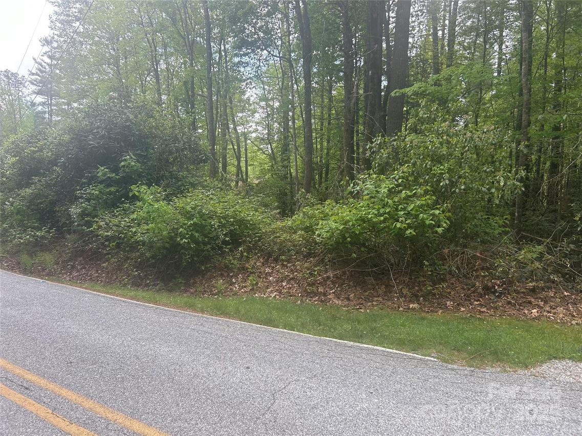 TBD Upper Whitewater Rd., Sapphire, NC 28774