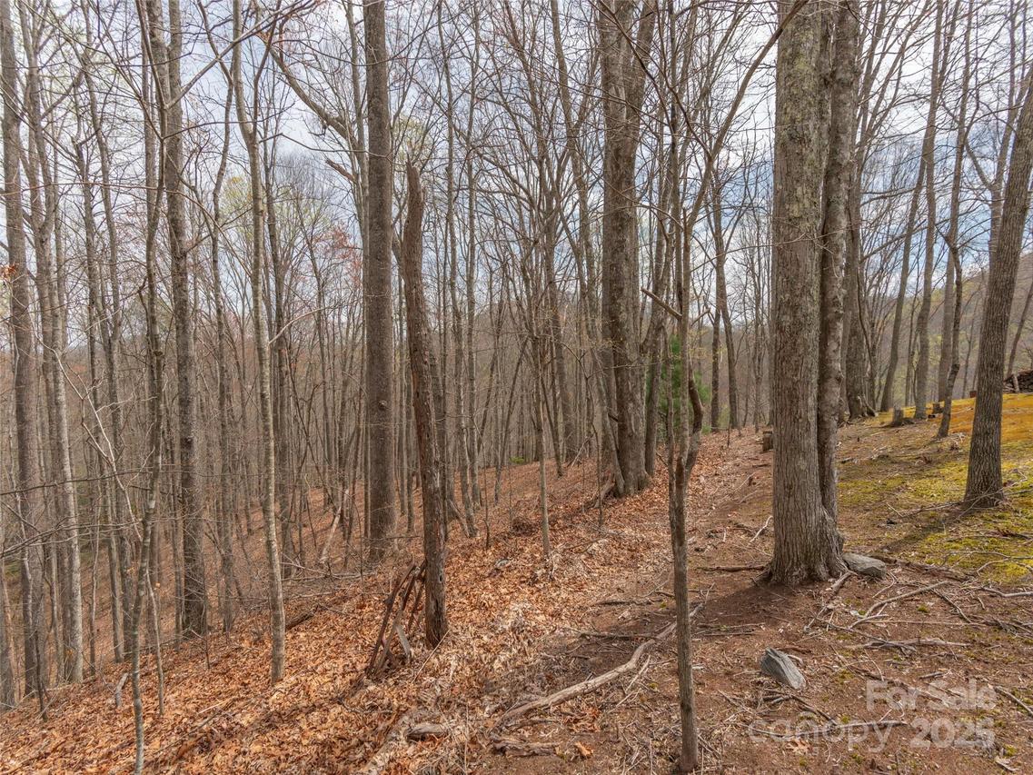 00 Michele Ln. #4, Leicester, NC 28748