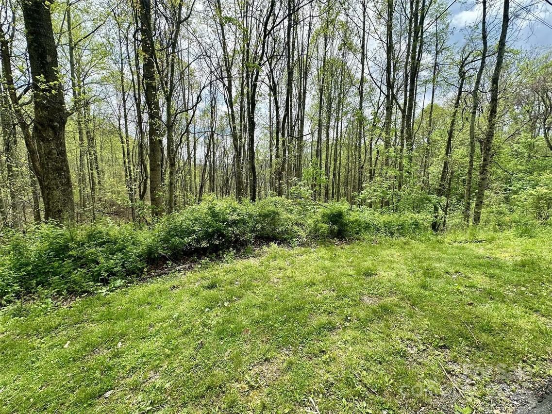 1 Deer Creek Tr., Maggie Valley, NC 28751