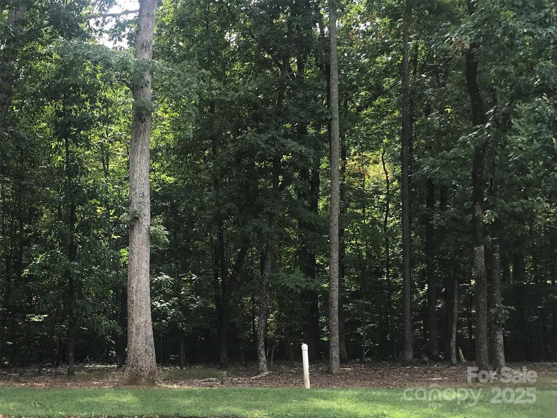 6107 Volte Dr. #98, Mint Hill, NC 28227
