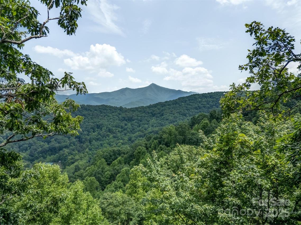 100 White Rock Branch Rd., Candler, NC 28715