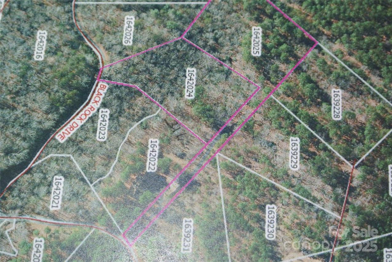 Black Rock Dr. ##40 & 41, Rutherfordton, NC 28139