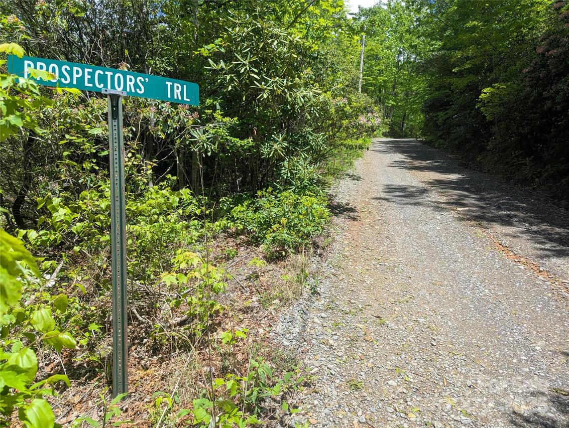 99999 Prospectors Tr., Black Mountain, NC 28711