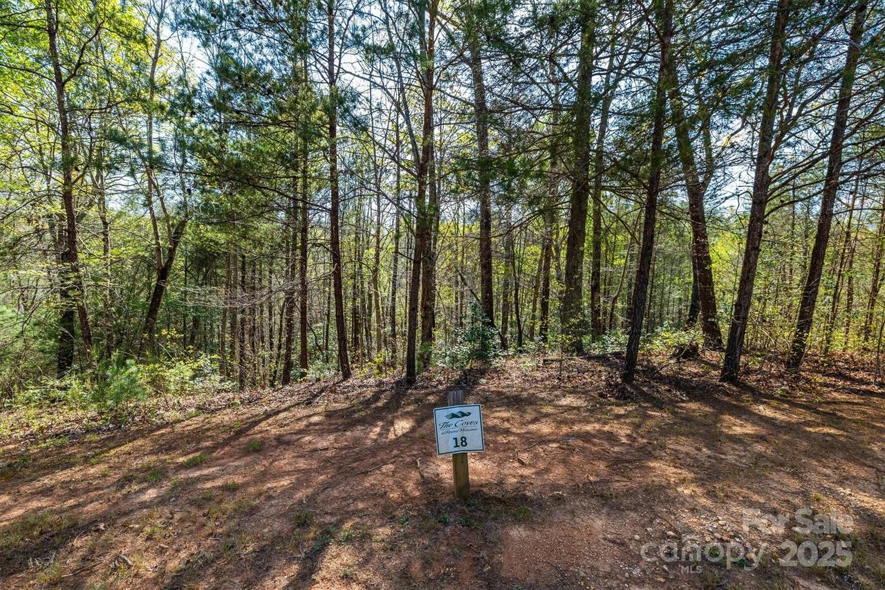 18 Walnut Ridge Way #2.65 Acres, Lenoir, NC 28645