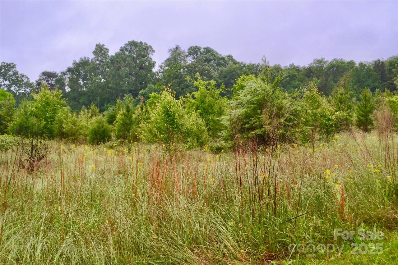 Chase High Rd., Forest City, NC 28043