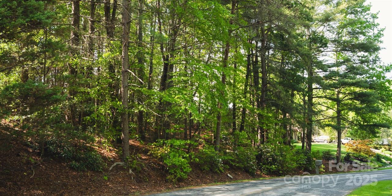 55 W Fairway Dr., Etowah, NC 28729