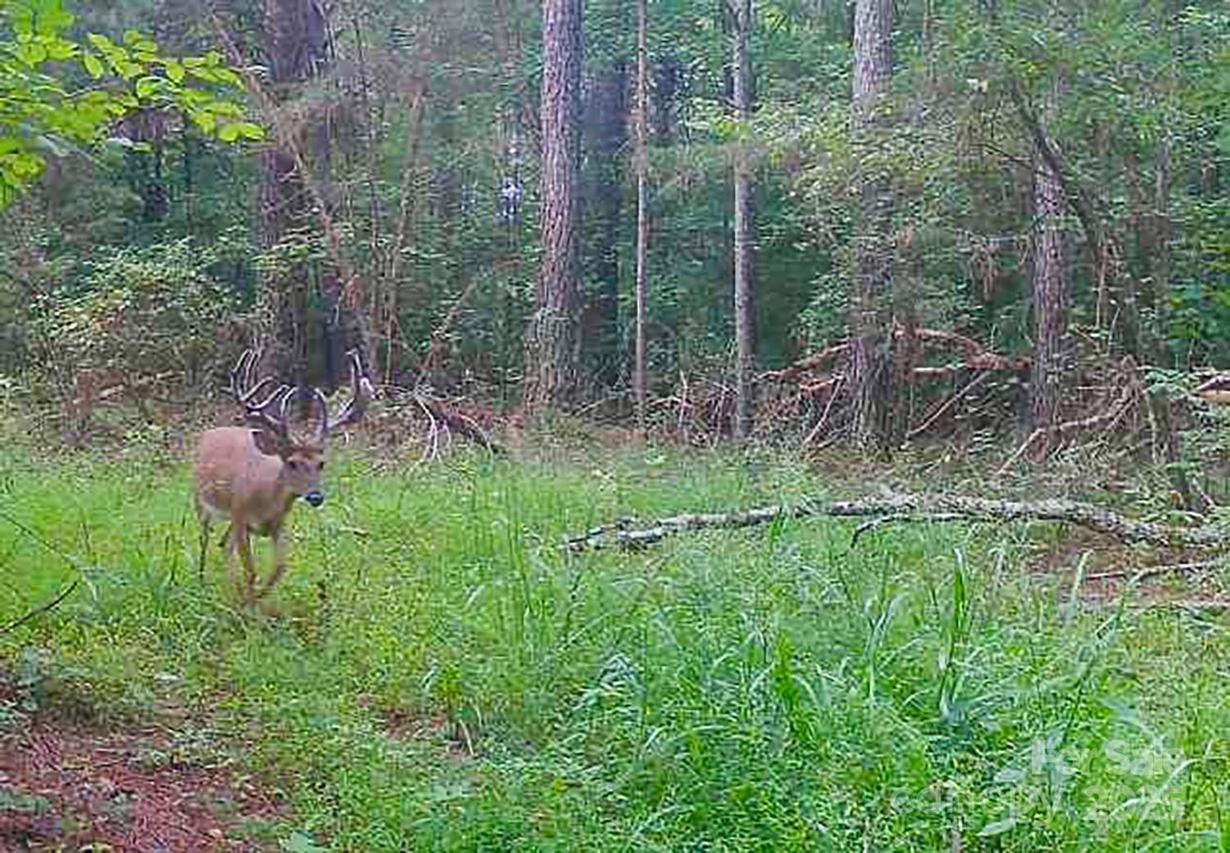 5555 Groves Rd., Union Mills, NC 28167