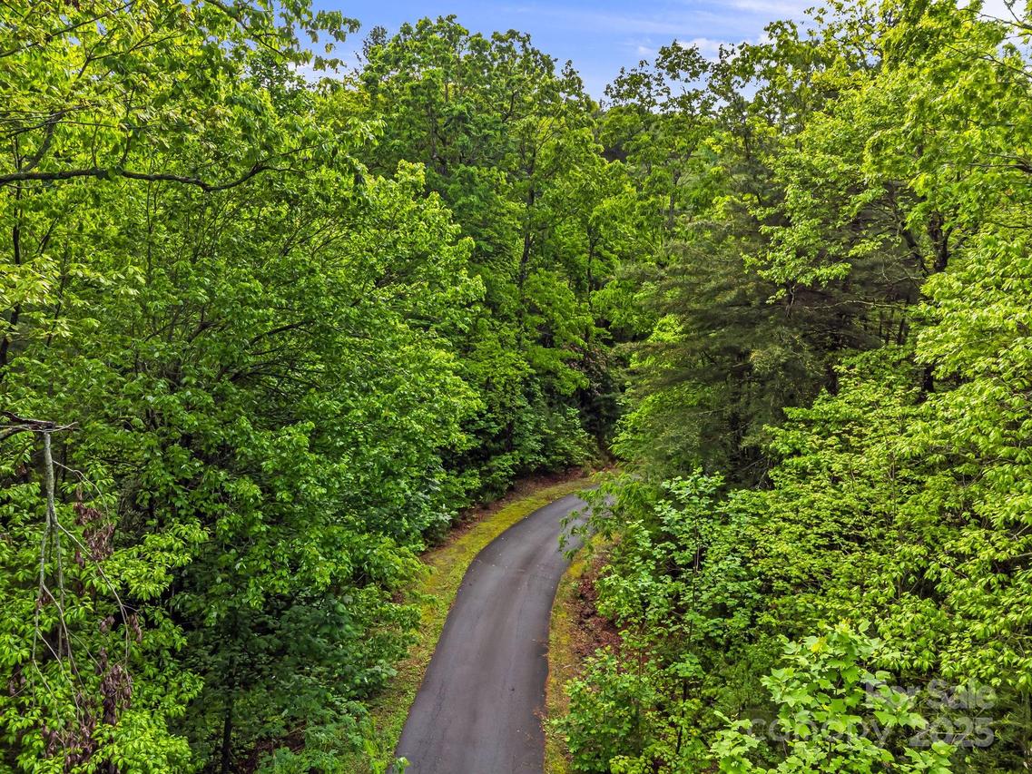 TBD Old Chestnut Ln., Hendersonville, NC 28739