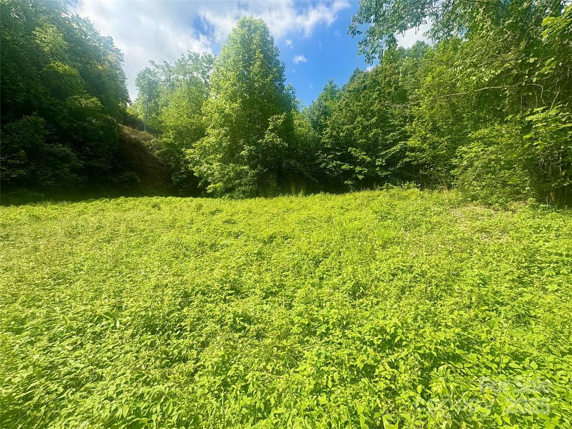 321 Mount Keys Dr., Bryson City, NC 28713
