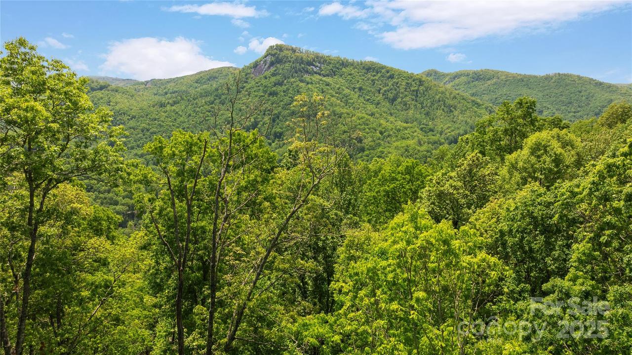 Lot 59 Waterdance Dr. #59, Tuckasegee, NC 28783