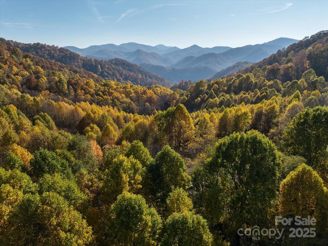 1397 Bee Branch Rd., Hot Springs, NC 28743