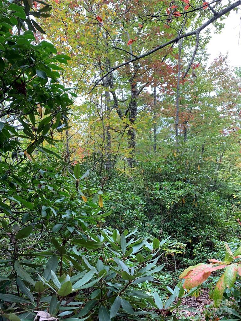 000 Eastatoe Gap Rd., Rosman, NC 28772