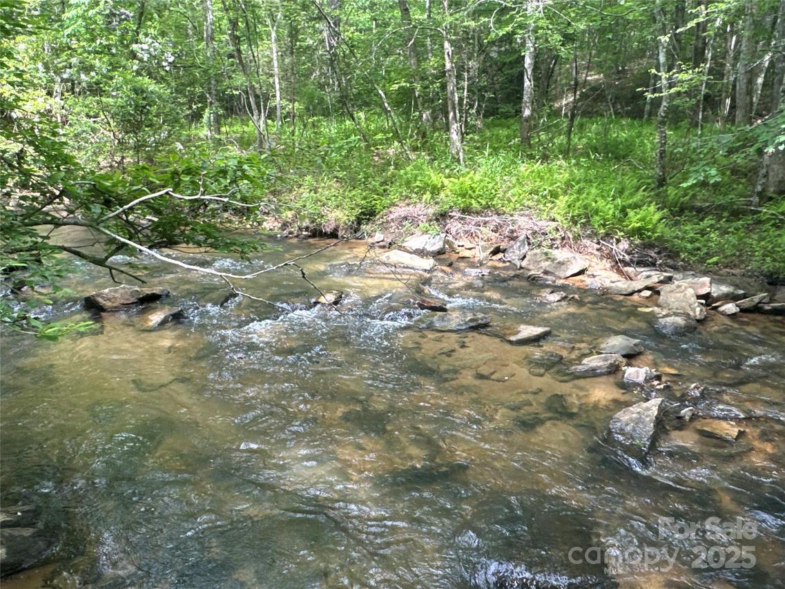 00 Vein Mountain Rd., Nebo, NC 28761
