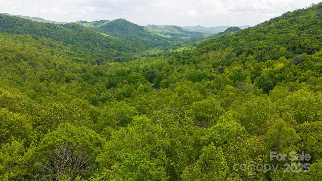TBD Cove Gap Rd. #multiple lots, Moravian Falls, NC 28654