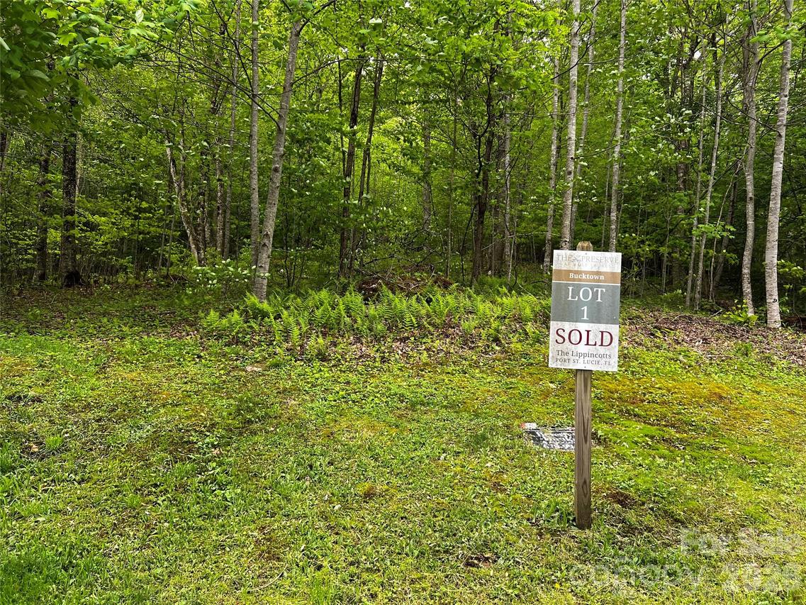 1 Pearl Way, Mars Hill, NC 28754