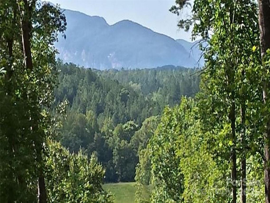 S Cross Creek Tr. #12, Mill Spring, NC 28756