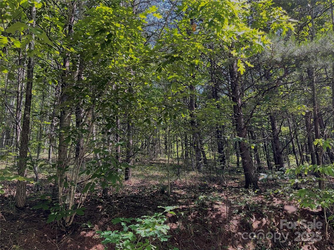 Freemantown Rd., Lake Lure, NC 28746