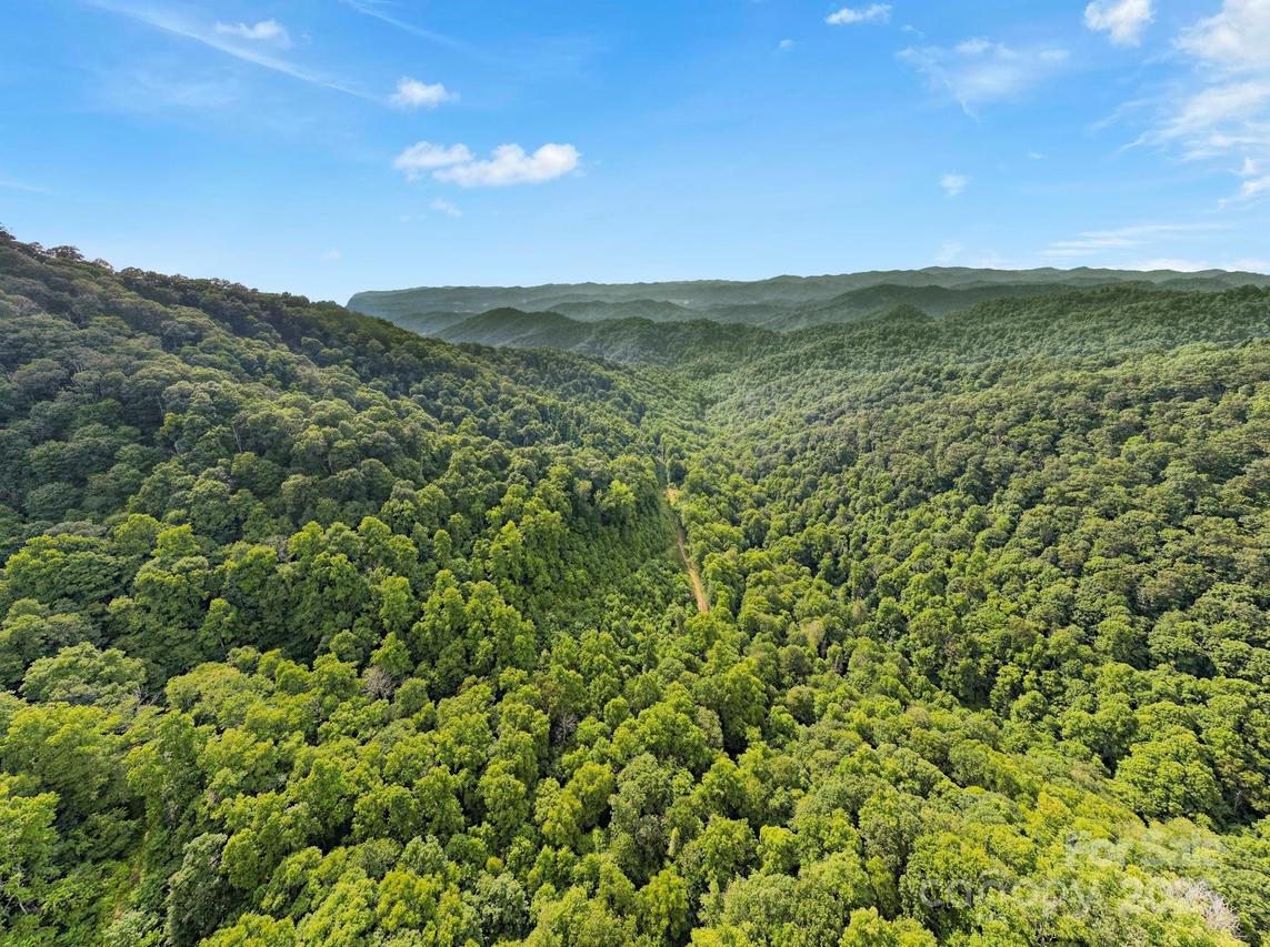 3440 Hamburg Rd., Mars Hill, NC 28754