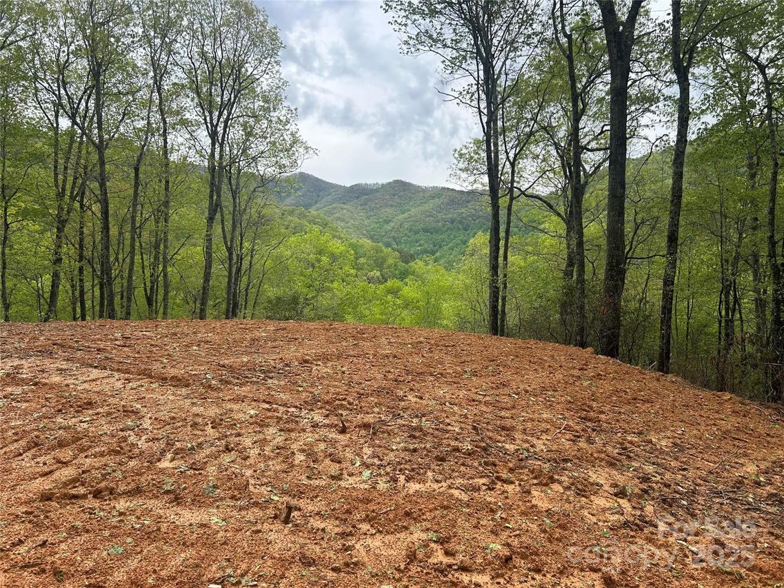 Blackberry Bend #8, Bryson City, NC 28713