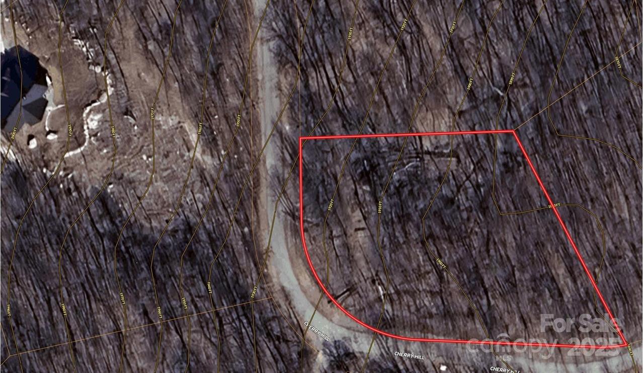 Lot 216 Cherry Hill Rd. #216, Mill Spring, NC 28756