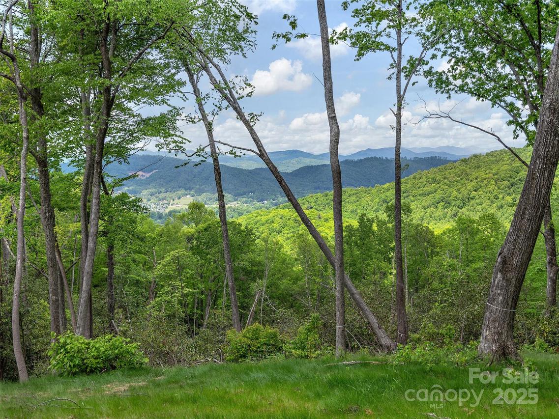 000 Hemlock Grove Tr. #51, Hendersonville, NC 28792