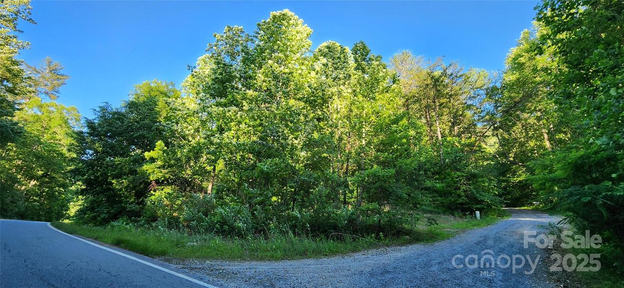 Buffalo Creek Rd. #74, Lake Lure, NC 28746