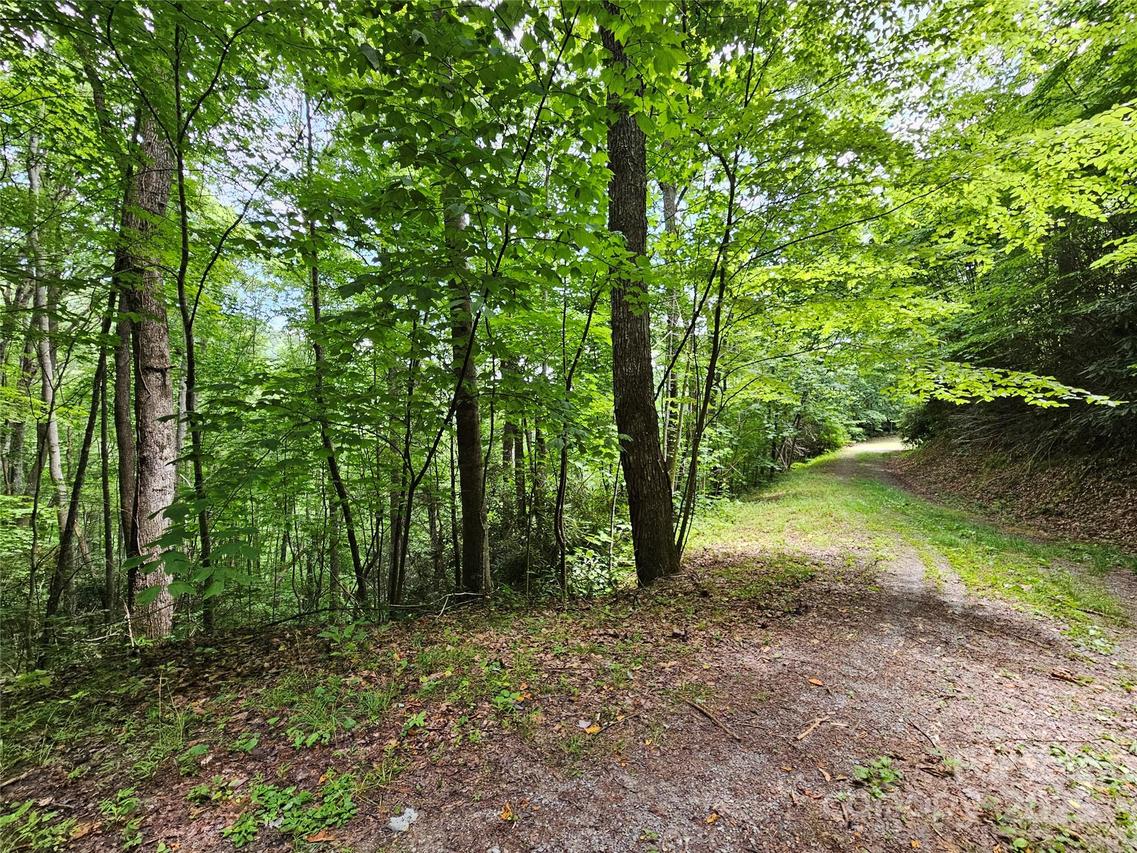 00 Autumn Dr. #2, Waynesville, NC 28785