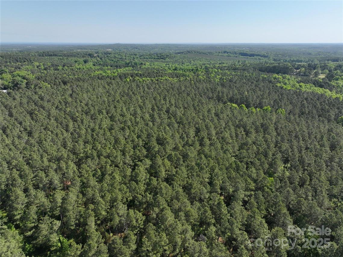 4815 Nc 109 Hwy., Wadesboro, NC 28170