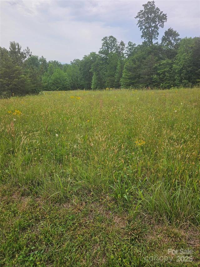 0000 Baber Forest Dr. #21, Rutherfordton, NC 28139
