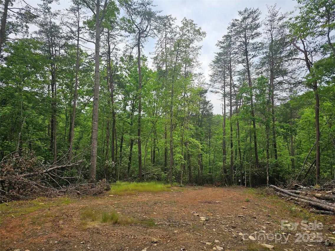 325 Mcginnis Rd., Old Fort, NC 28762