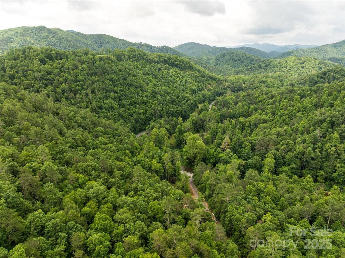 99999 Guntertown Rd., Marshall, NC 28753