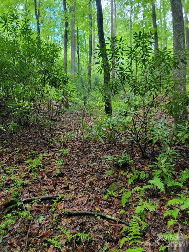 000 Rocky Top Rd., Lenoir, NC 28645