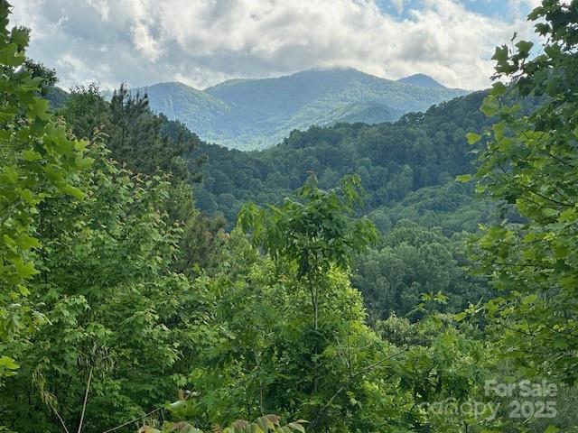 Iverness Dr. #12, Waynesville, NC 28785