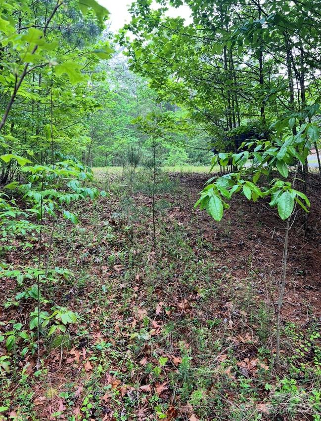 0000 Conroy Ct., Collettsville, NC 28611