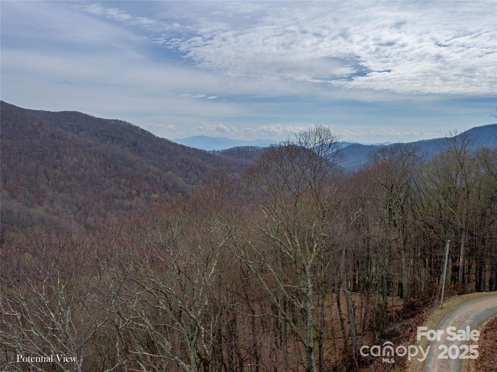 00 Chestnut Ln. #100, Mars Hill, NC 28754