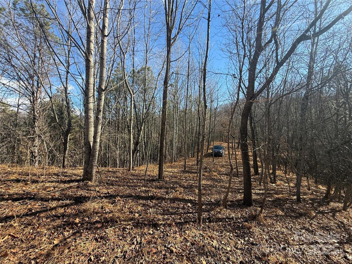 99999 Hendl Way, Leicester, NC 28748