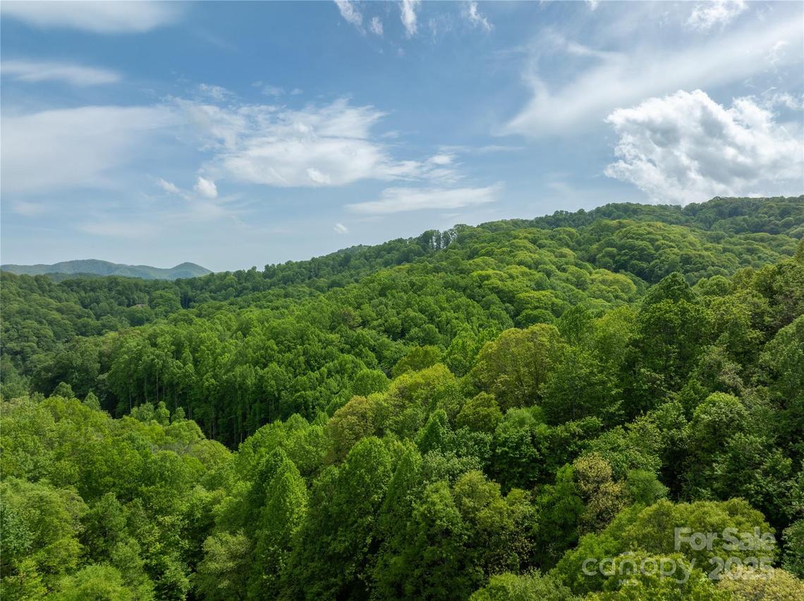 890 Panther Branch Rd., Hot Springs, NC 28743