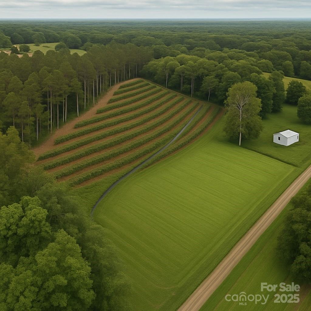 0000 Jane Hager Ln., Iron Station, NC 28080