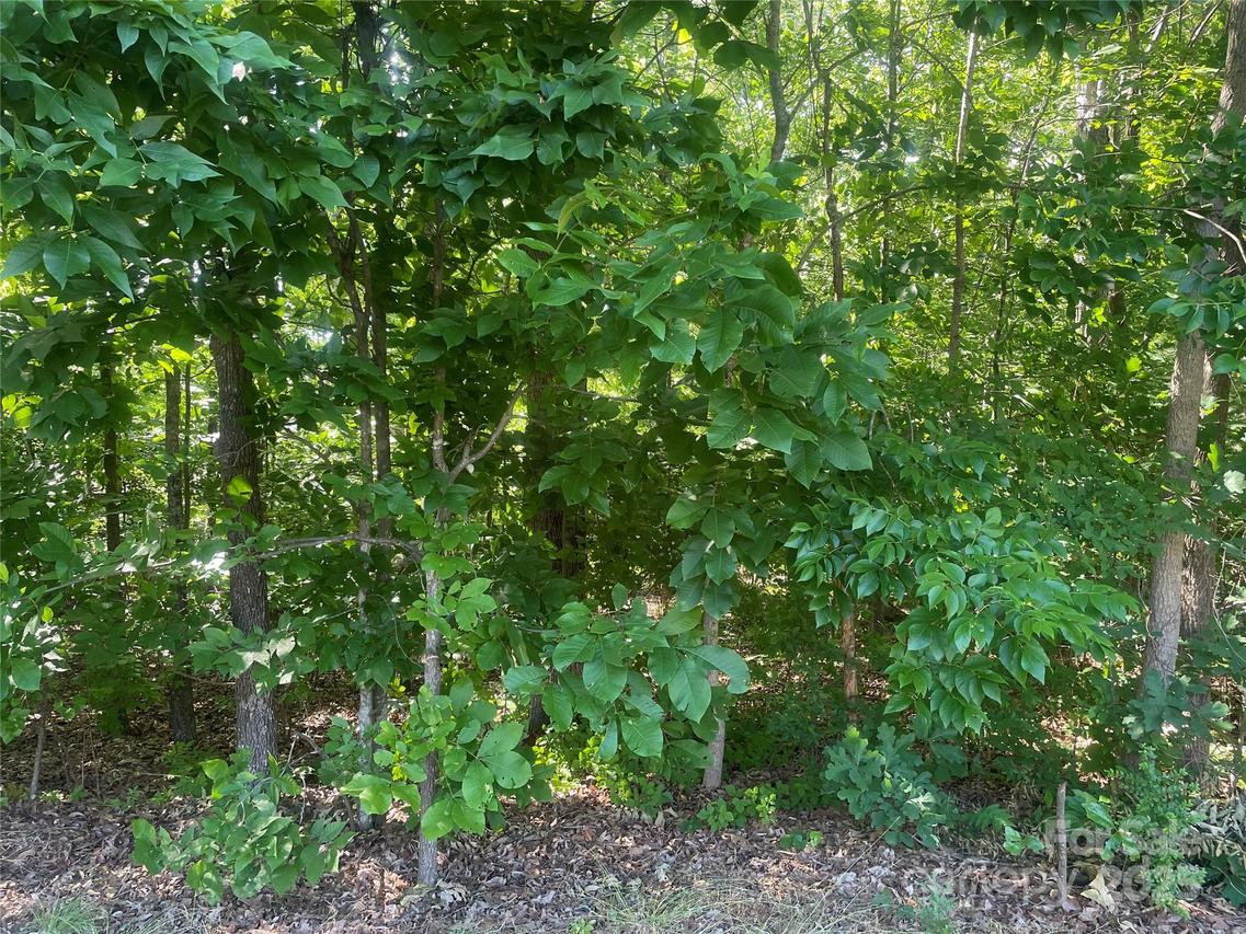 Silver Springs Rd., Norwood, NC 28128