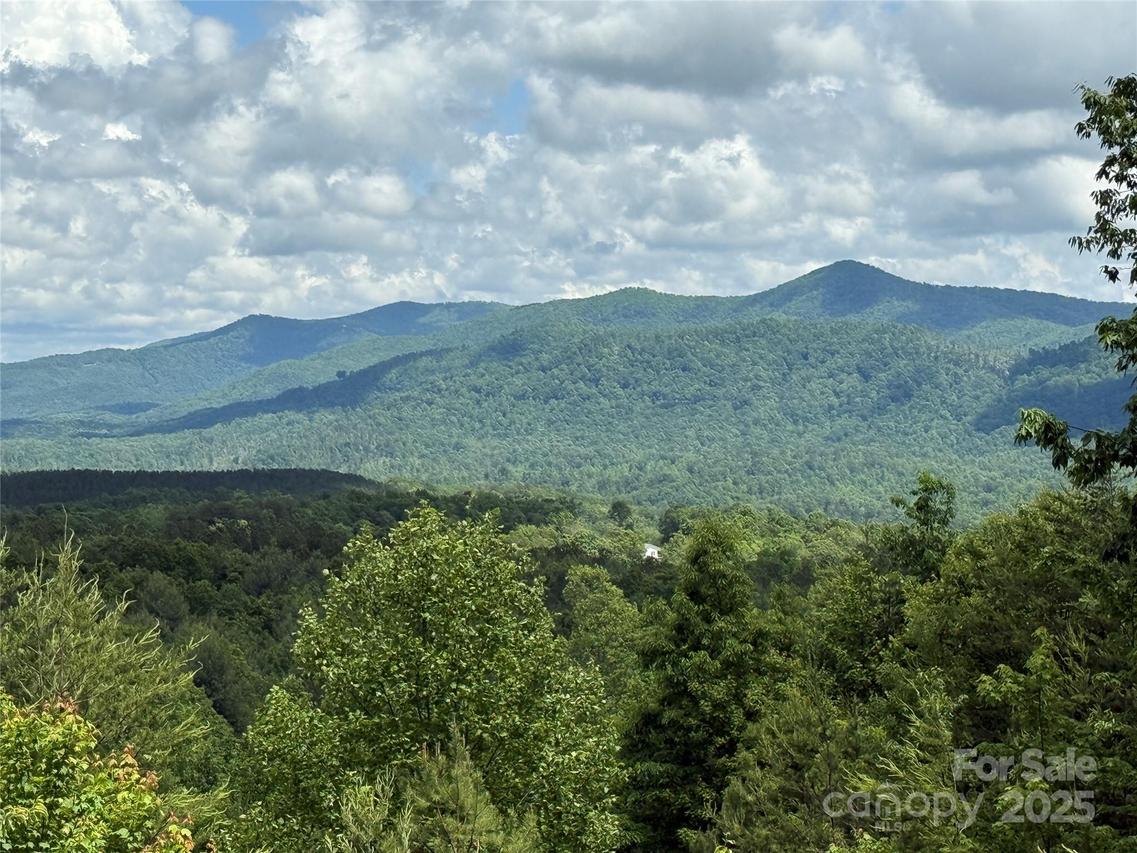 113 Valley View Tr. #323, Nebo, NC 28761