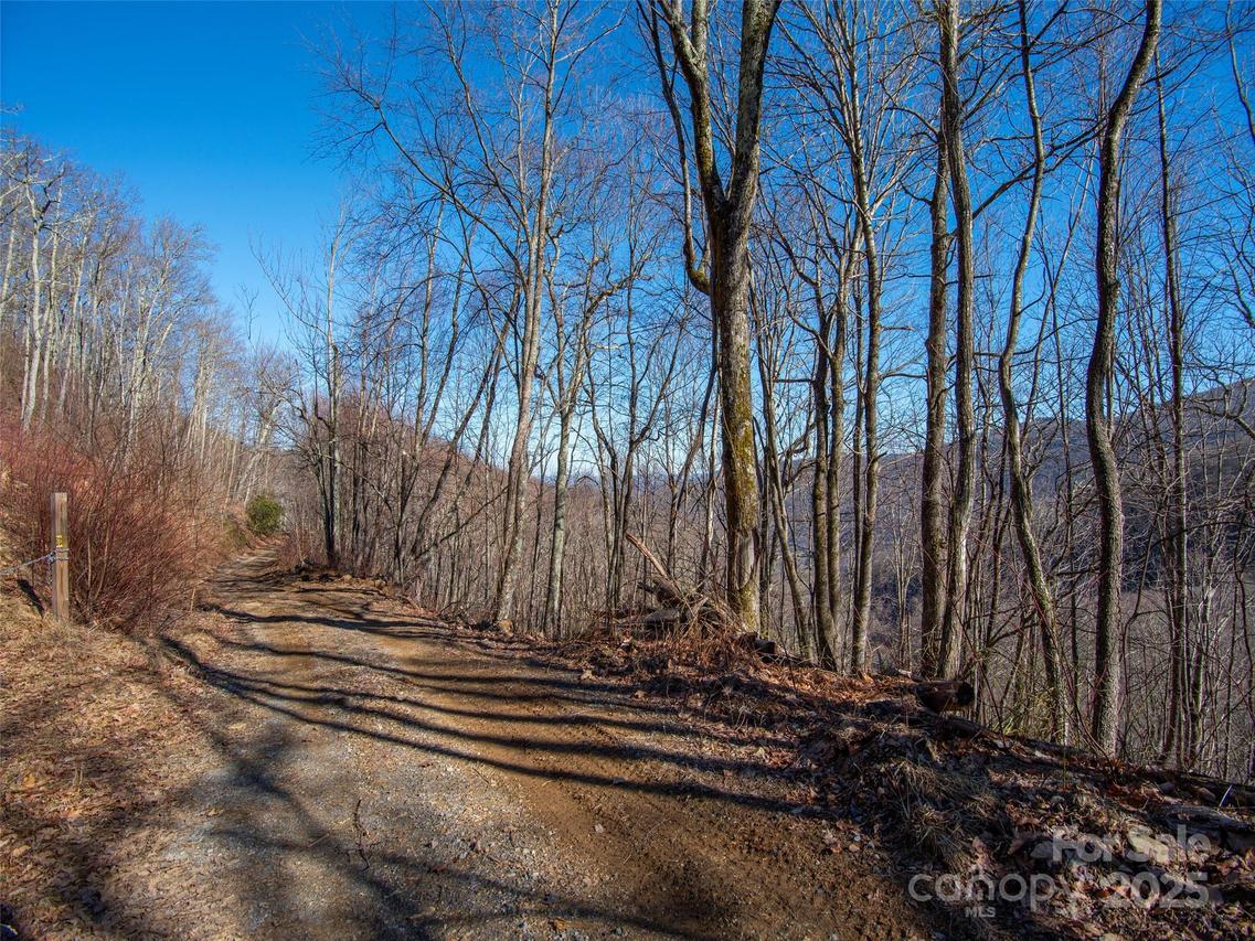 00 Long Branch Rd., Maggie Valley, NC 28751