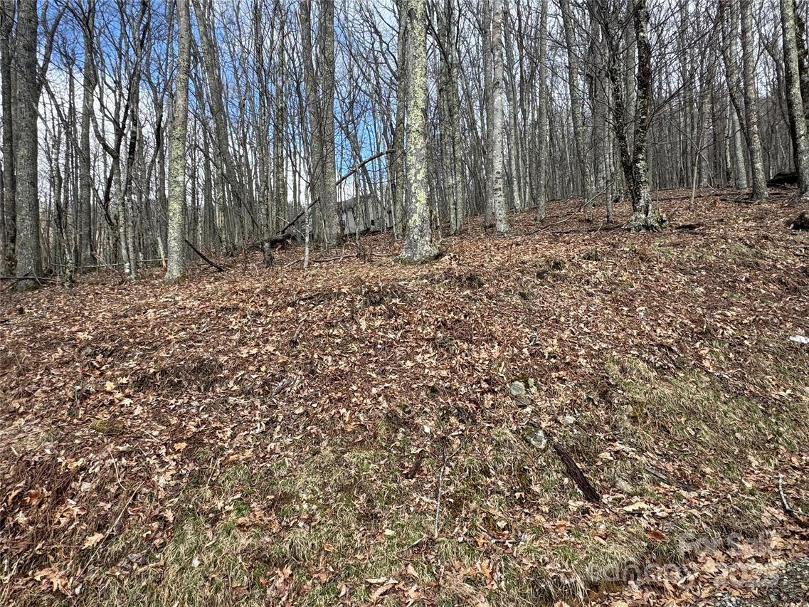 344 Tearshirt Ln., Mars Hill, NC 28754