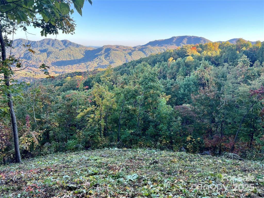1591 Creston Dr. #T-78, Black Mountain, NC 28711