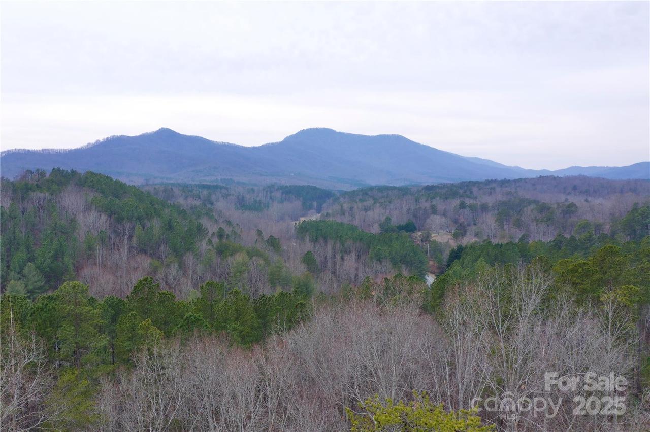 1140 Hwy 9 Hwy., Mill Spring, NC 28756