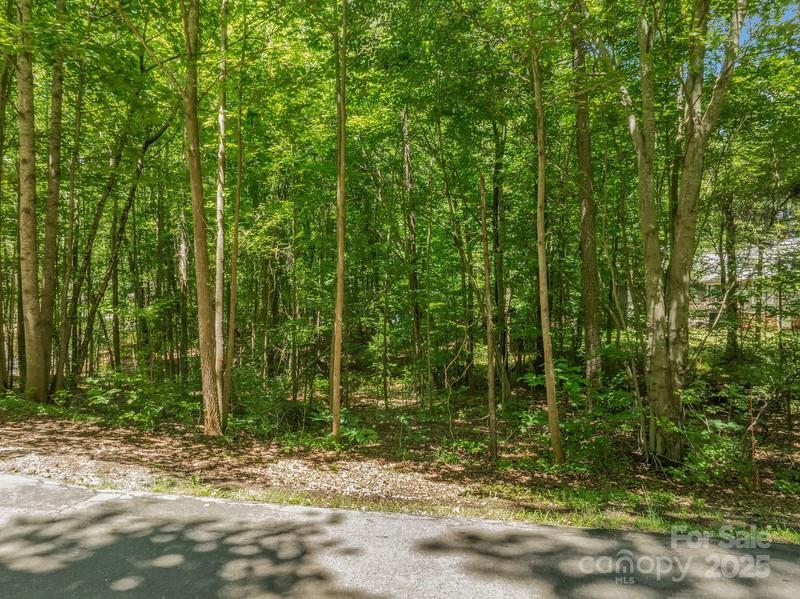 Nablus Dr. #5, Waxhaw, NC 28173