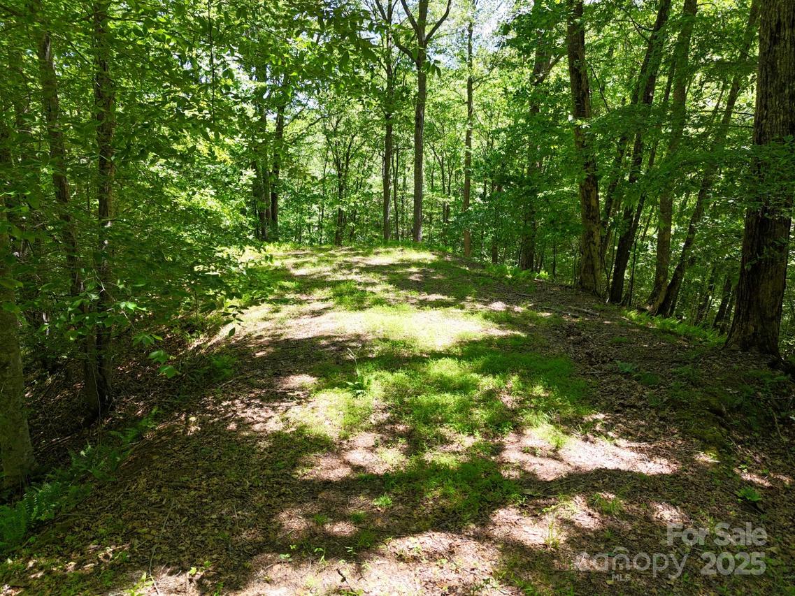 Elkhorn Ridge Dr. #46, Franklin, NC 28734