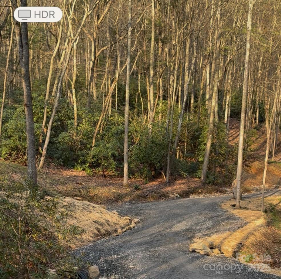 99999 Brooksong Dr., Asheville, NC 28805