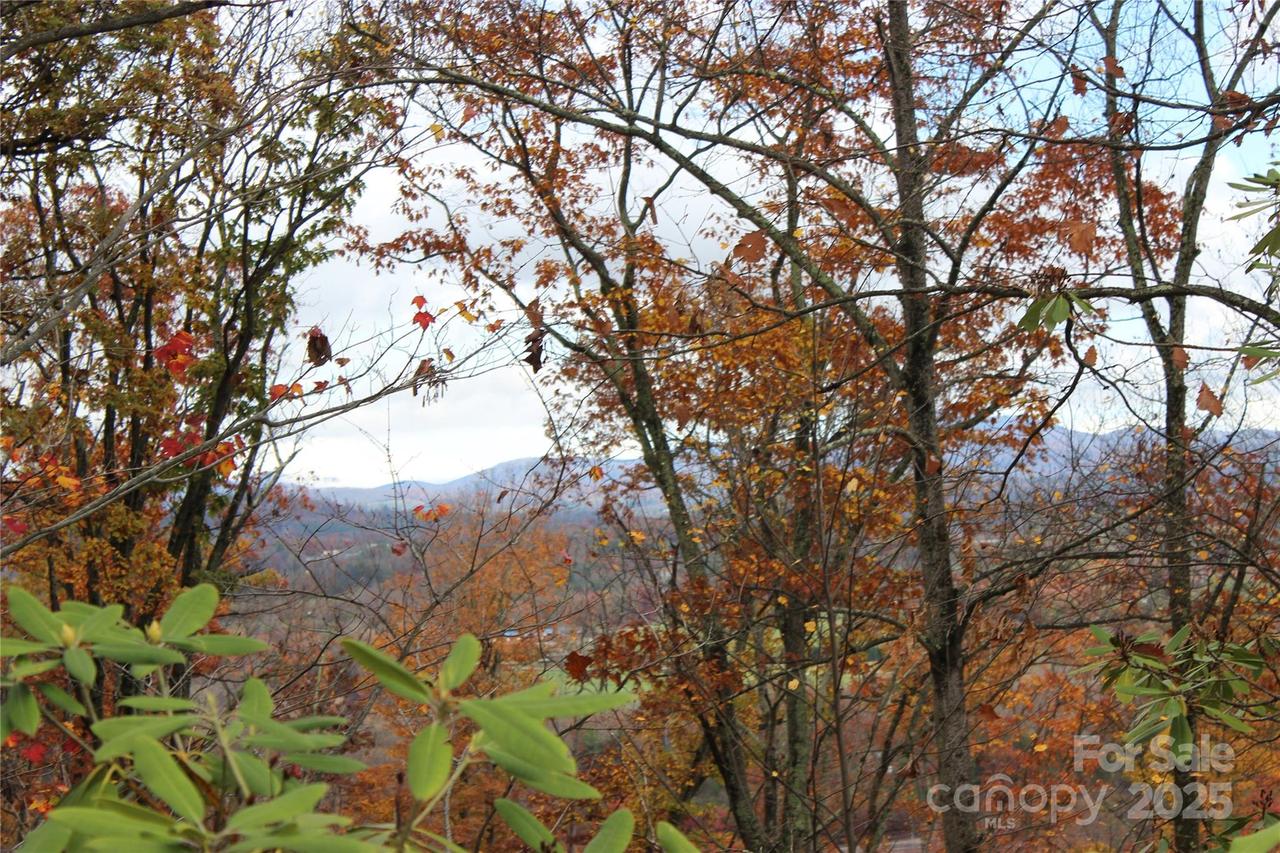 r1 Curtain Bluff, Hendersonville, NC 28791