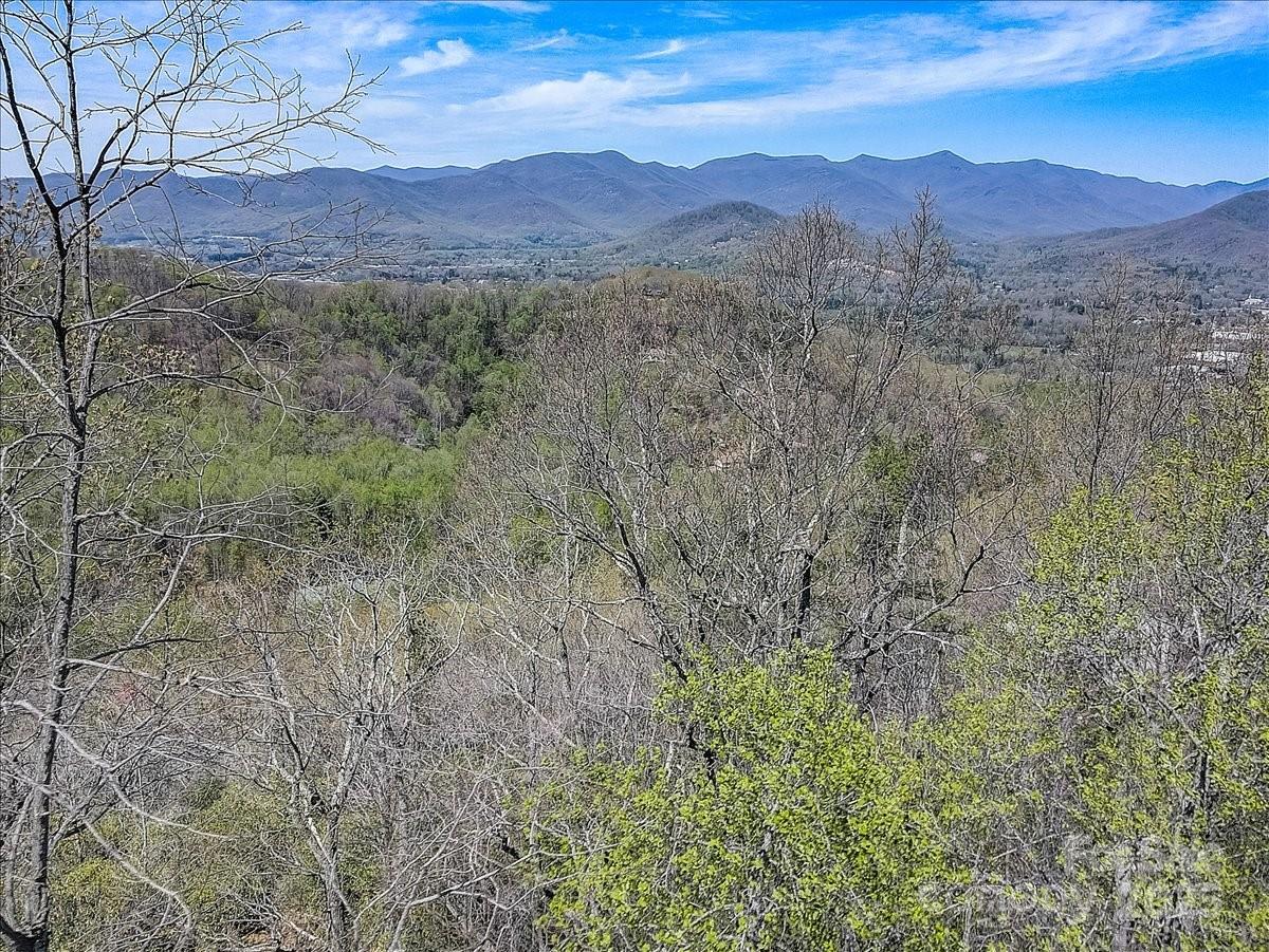 37 Old Greybeard Loop #78, Black Mountain, NC 28711