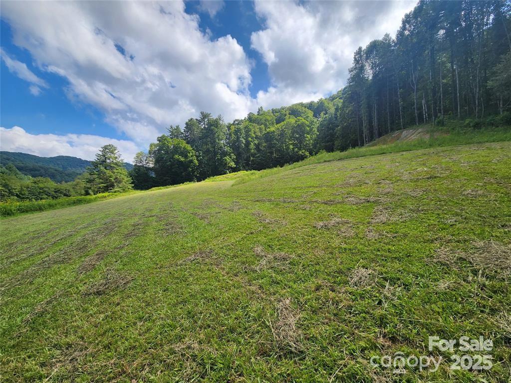 5570 Meadow Fork Rd., Hot Springs, NC 28743